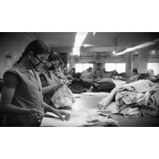 Certified Garment Checker