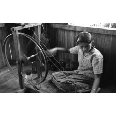 Certified Silk Spinner Master