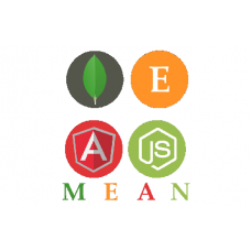 Certified MEAN Stack Developer