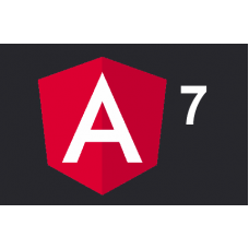 Certified Angular 7 Developer
