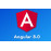 Certified Angular 8 Developer