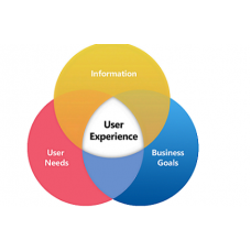 Certified User Experience (UX) Design Professional