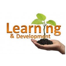 Certified Learning and Development (L&D) Manager