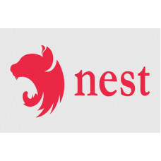 Certified Nest.js Developer