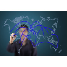 Certified International Trade and Forex Professional