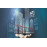 Certified Facility Management Expert