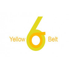 Certified Six Sigma Yellow Belt Professional