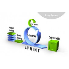 Certified Scrum Methodology Expert