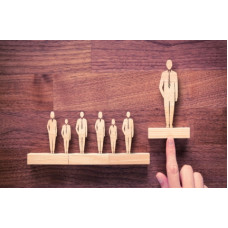 Certified Business Strategy Professional
