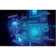 Certified Penetration Testing Professional
