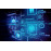 Certified Penetration Testing Professional
