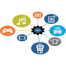 Certified REST API Development Professional