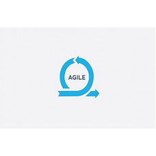 Certified Agile Testing Professional