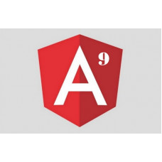 Certified Angular 9 Developer