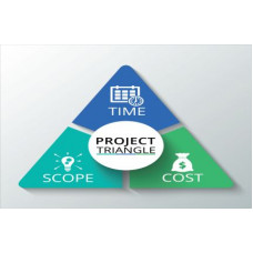 Certificate in Project Management