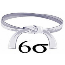 Certified Six Sigma White Belt Professional