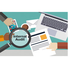 Certificate in Internal Audit