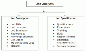 job analysis