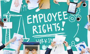 Rights And Obligations Of Employees
