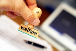 Welfare And Health Of Contact Labour