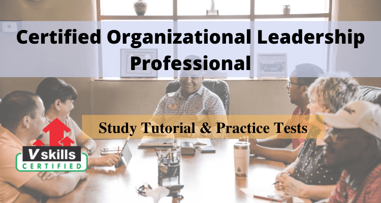 Organizational Leadership Professional Tutorials
