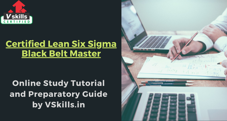 Certified Lean Six Sigma Black Belt Master online tutorials