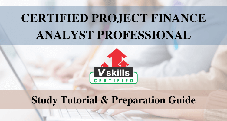 Project Finance Analyst Tutorial
