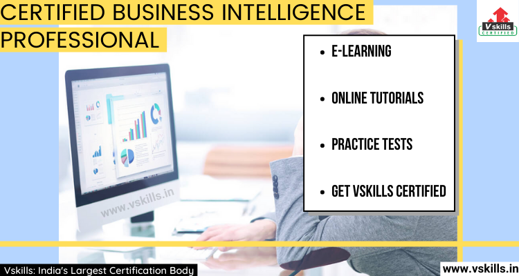 Certified Business Intelligence Professional Online Tutorial