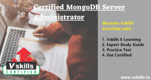 mongodb vskills