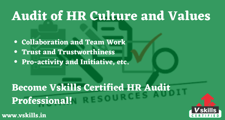 Audit of HR Culture and Values