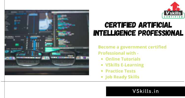 Certified Artificial Intelligence Professional online tutorials
