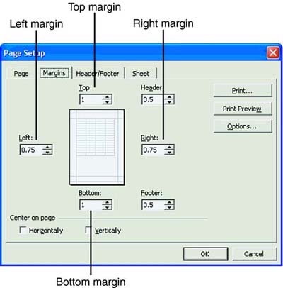 File Management. 10