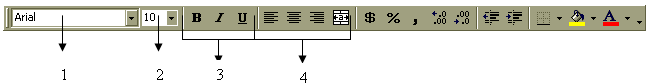 Formatting Cells 17