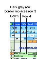 Hide and Display Sheets, Rows and Columns 2