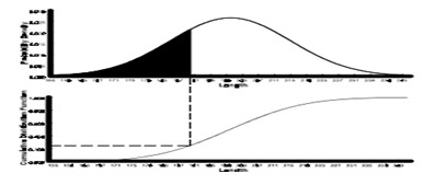 Cummulative Frequency Distributions