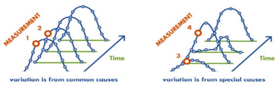 Process Capability and Performance