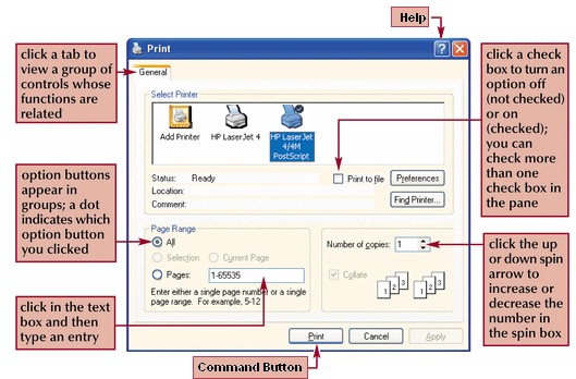 The User Interface 5