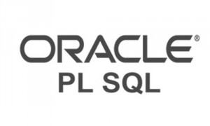 VS-1063 PLSQL professional-300x180
