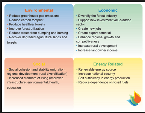 biomass-energy