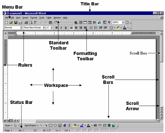 ms-word-interface-and-editing-document