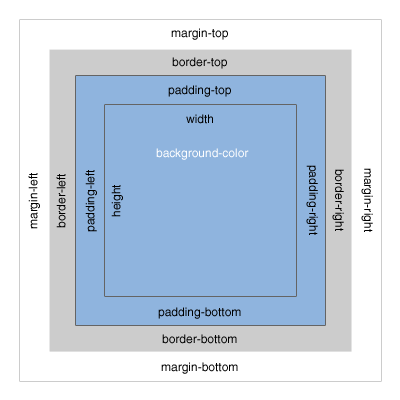 Box Model Basics