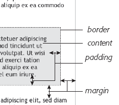 Box Model Basics 2